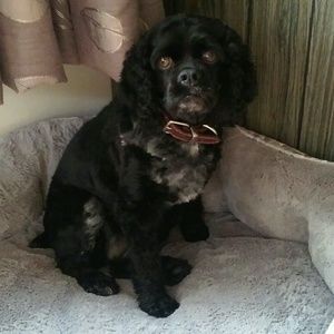 Meet your Posher, Nancy